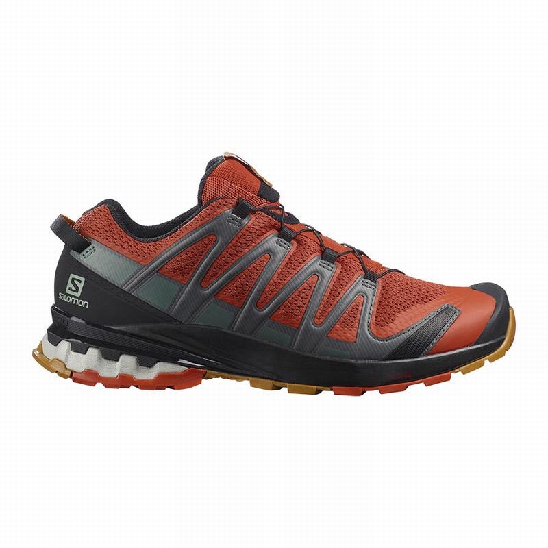 Salomon Singapore Mens Hiking Shoes - XA PRO 3D V8 Black | 73602-KRLJ